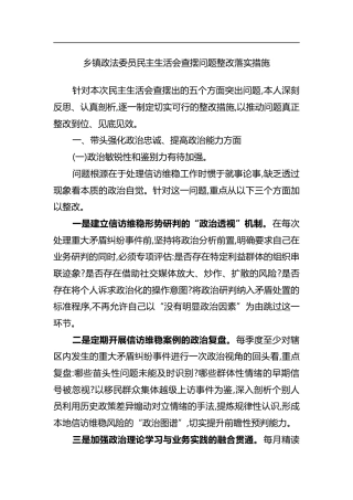 乡镇政法委员民主生活会查摆问题整改落实措施