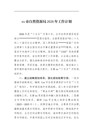 市自然资源局2026年工作计划