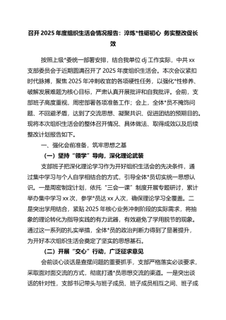 召开2025年度组织生活会情况报告：淬炼党性砺初心+务实整改促长效