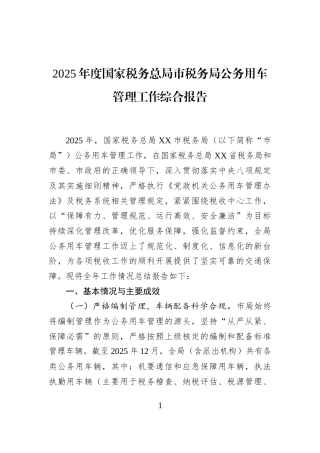 2025年度国家税务总局市税务局公务用车管理工作综合报告