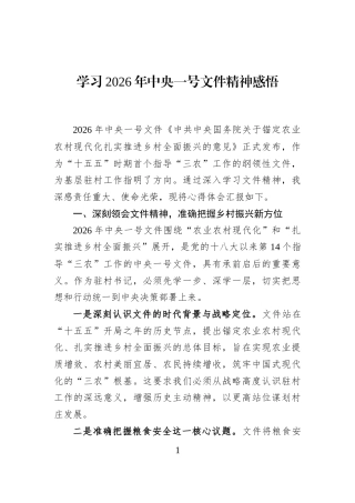 学习2026年中央一号文件精神感悟