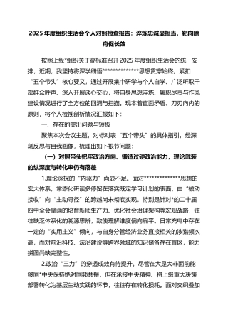 2025年度组织生活会个人对照检查报告：淬炼忠诚显担当，靶向除疴促长效
