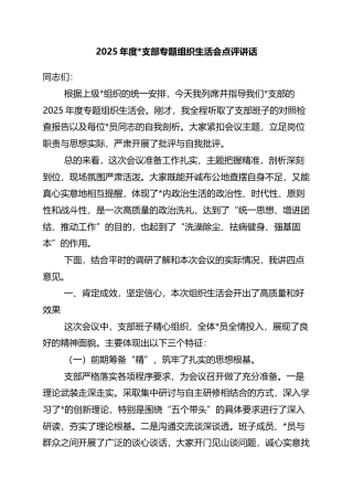 2025年度支部专题组织生活会点评讲话