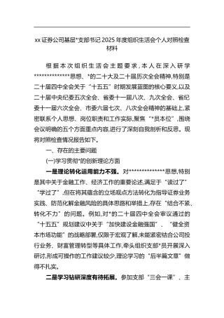 证券公司基层支部书记2025年度组织生活会个人对照检查材料
