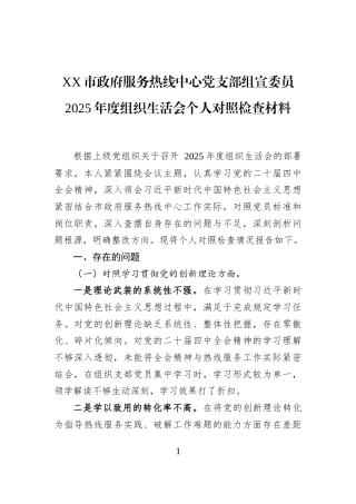 XX市政府服务热线中心党支部组宣委员2025年度组织生活会个人对照检查材料