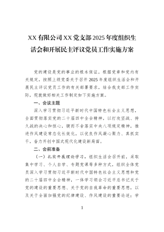 XX有限公司XX党支部2025年度组织生活会和开展民主评议党员工作实施方案