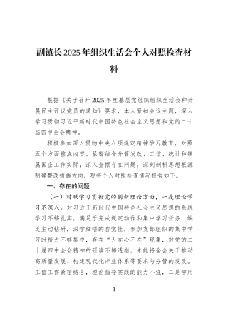 副镇长2025年组织生活会个人对照检查材料