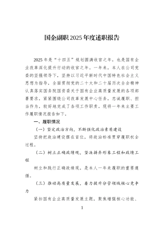国企副职2025年度述职报告