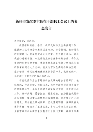 新任市发改委主任在干部职工会议上的表态发言