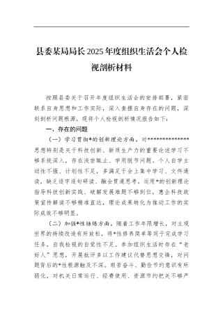 县委某局局长2025年度组织生活会个人检视剖析材料