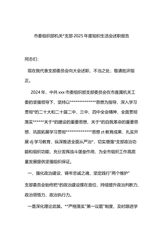 市委组织部机关支部2025年度组织生活会述职报告