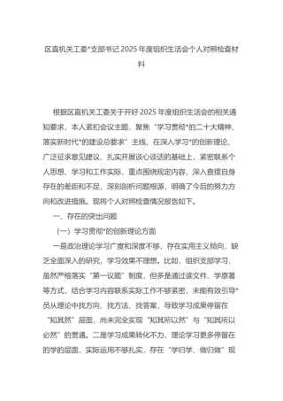 区直机关工委支部书记2025年度组织生活会个人对照检查材料