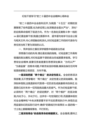 纪检干部学习党的二十届四中全会精神心得体会