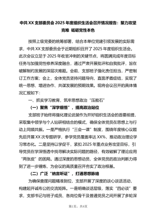 中共XX支部委员会2025年度组织生活会召开情况报告：聚力攻坚克难+砥砺X性本色