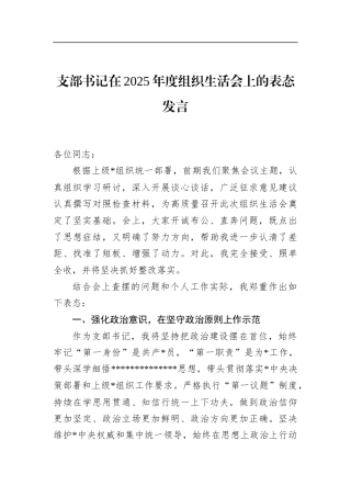 支部书记在2025年度组织生活会上的表态发言