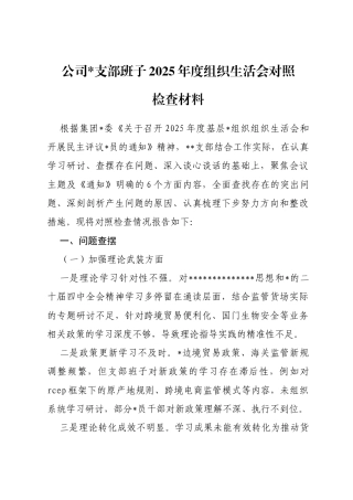公司支部班子2025年度组织生活会对照检查材料