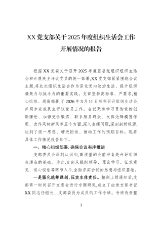 XX党支部关于2025年度组织生活会工作开展情况的报告