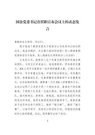 国企党委书记在任职宣布会议上的表态发言