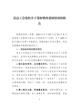 县总工会党组关于巡察整改进展情况的报告
