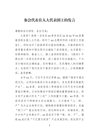参会代表在人大代表团上的发言