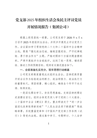 党支部2025年组织生活会及民主评议党员开展情况报告（集团公司）