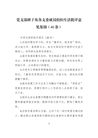 党支部班子及各支委成员组织生活批评意见集锦（40条）