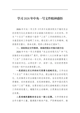 学习2026年中央一号文件精神感悟