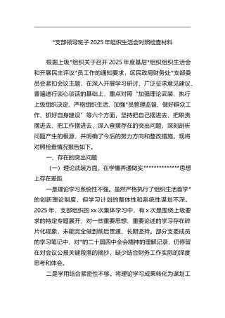 支部领导班子2025年组织生活会对照检查材料