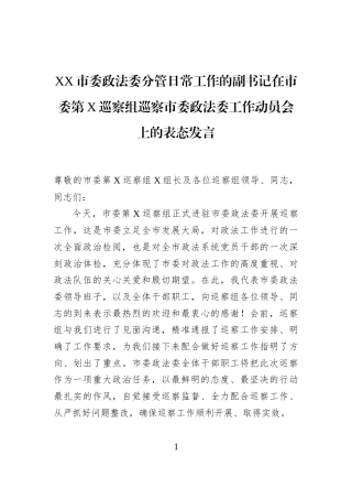 XX市委政法委分管日常工作的副书记在市委第X巡察组巡察市委政法委工作动员会上的表态发言
