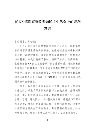 在XX镇巡察整改专题民主生活会上的表态发言