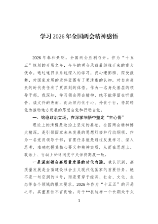 学习2026年全国两会精神感悟