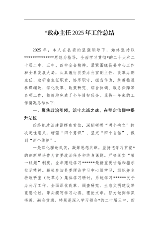 党政办主任2025年工作总结