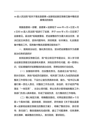 县人民法院关于落实县委第党巡察组巡察反馈意见集中整改进展情况的报告