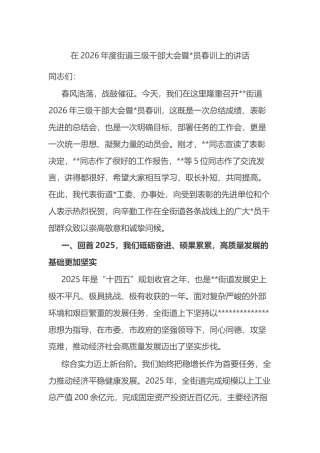 在2026年度街道三级干部大会暨党员春训上的讲话