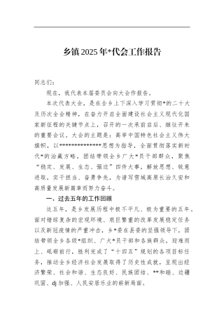 乡镇2025年党代会工作报告