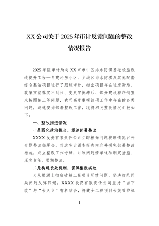 XX公司关于2025年审计反馈问题的整改情况报告