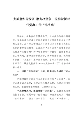 大抓落实促发展+聚力攻坚争一流勇做新时代党办工作“排头兵”
