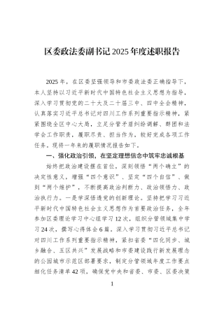 区委政法委副书记2025年度述职报告