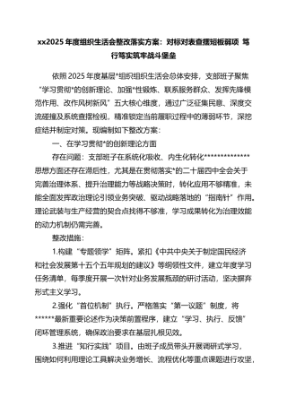 2025年度组织生活会整改落实方案：对标对表查摆短板弱项+笃行笃实筑牢战斗堡垒
