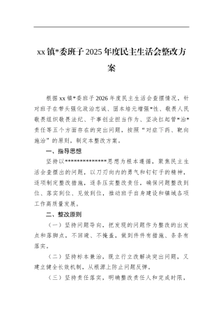 镇班子2025年度民主生活会整改方案