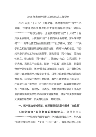 2026年市审计局机关意识形态工作要点
