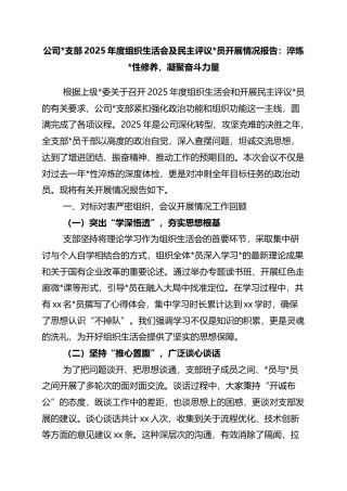公司支部2025年度组织生活会及民主评议党员开展情况报告：淬炼党性修养，凝聚奋斗力量