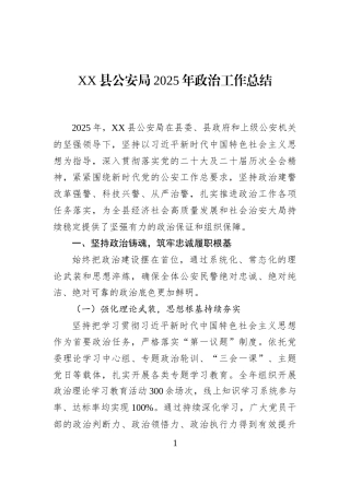XX县公安局2025年政治工作总结