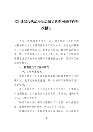 XX县综合执法局基层减负典型问题排查整改报告