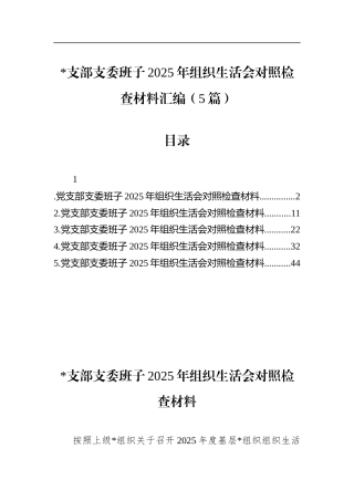 支部支委班子2025年组织生活会对照检查材料汇编（5篇）