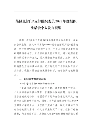 区直部门支部组织委员2025年度组织生活会个人发言提纲