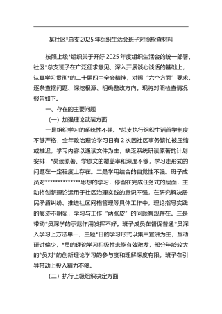 社区总支2025年组织生活会班子对照检查材料
