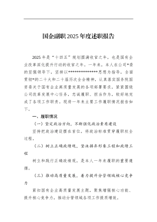 国企副职2025年度述职报告