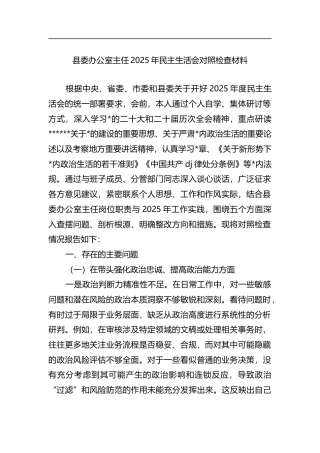 县委办公室主任2025年民主生活会对照检查材料
