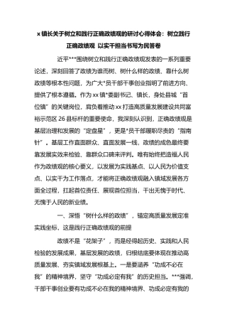 镇长关于树立和践行正确政绩观的研讨心得体会